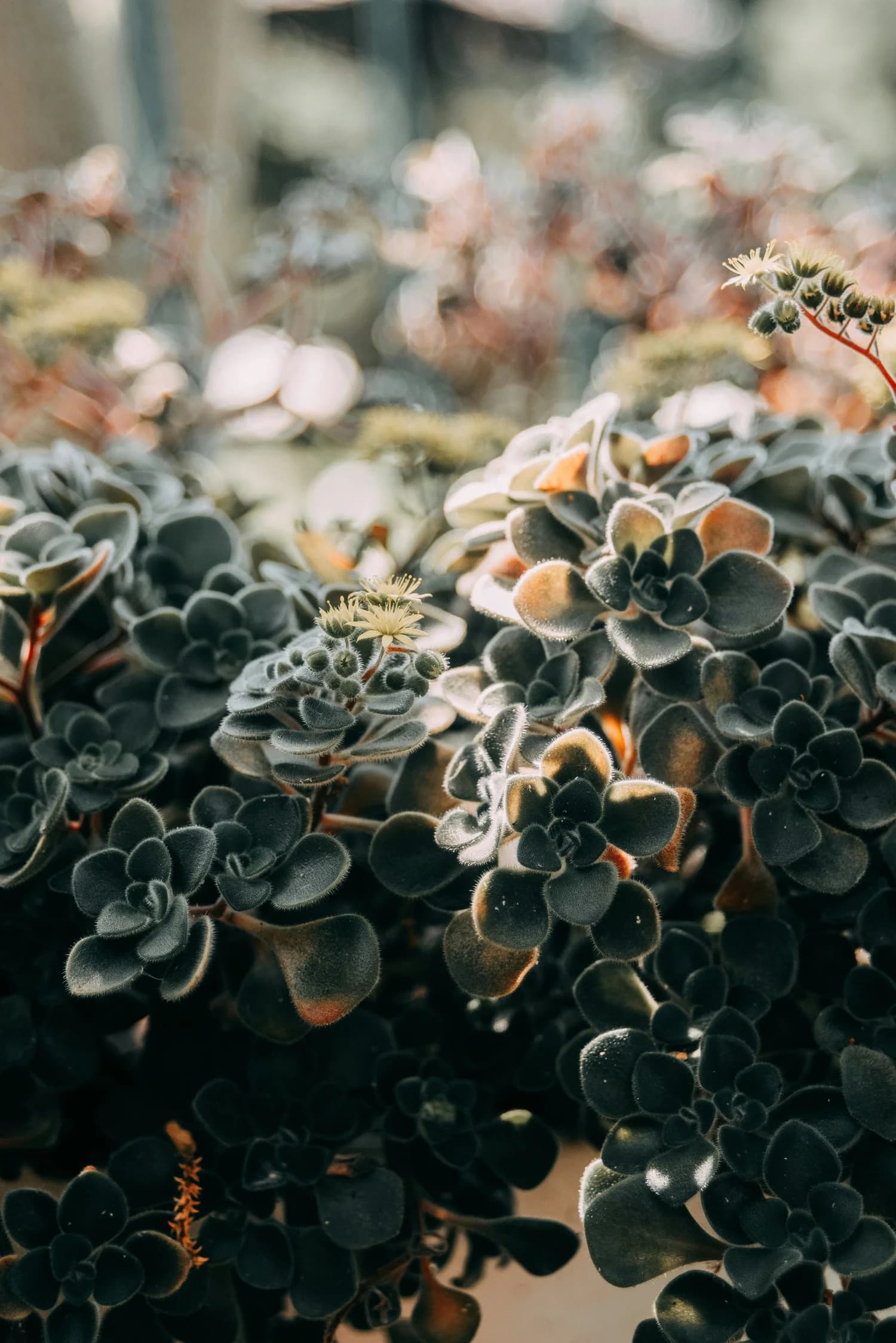 Begin Again: 3 Ways to Optimize Your Day