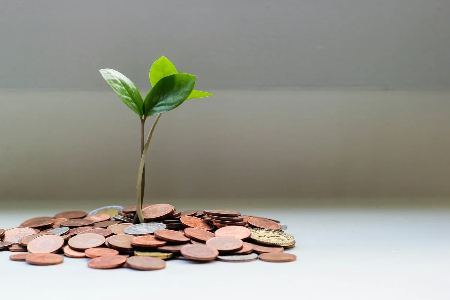 The Psychology of Money: The Science Behind Financial Stability and Well-Being