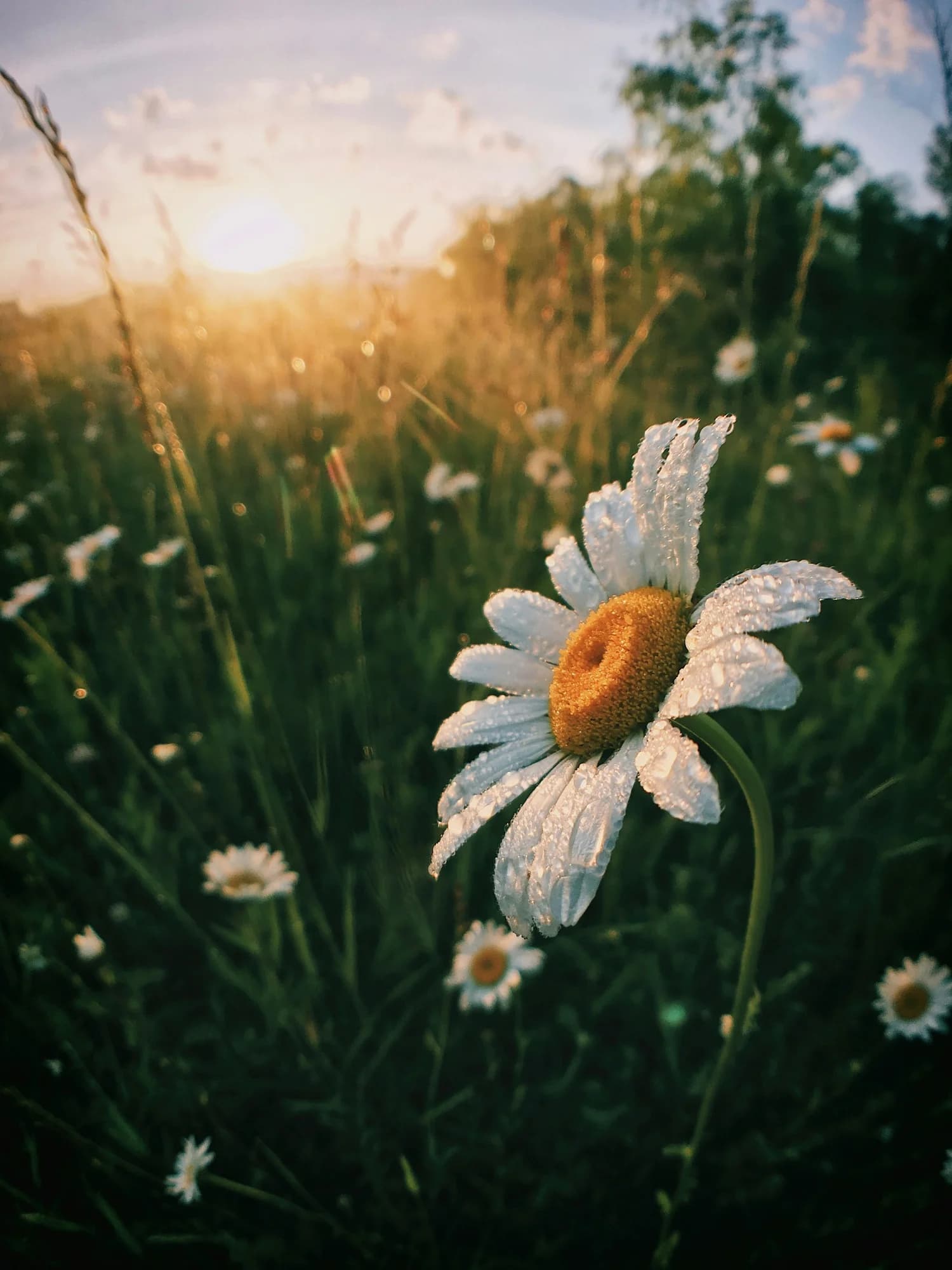 Morning Routine for Christians and the Non-Huberman
