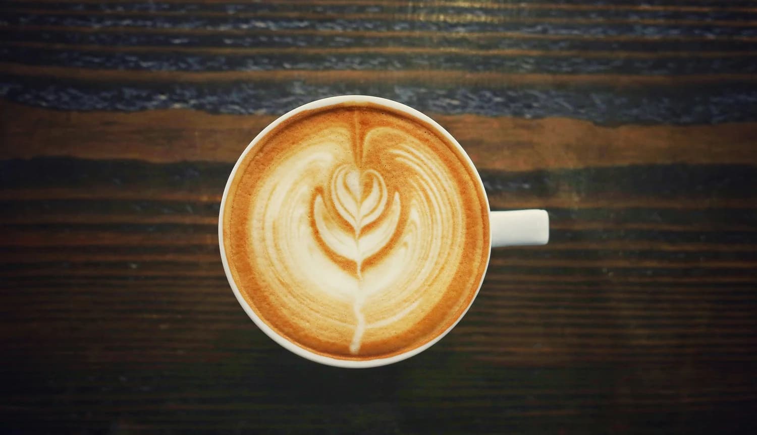 a cup of coffee for the coffee addict