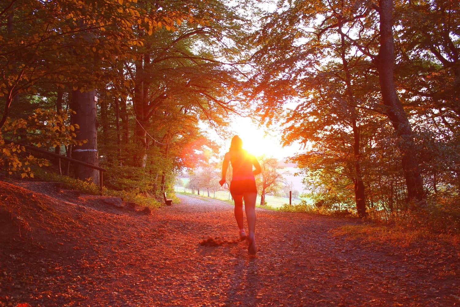 My Running Journey