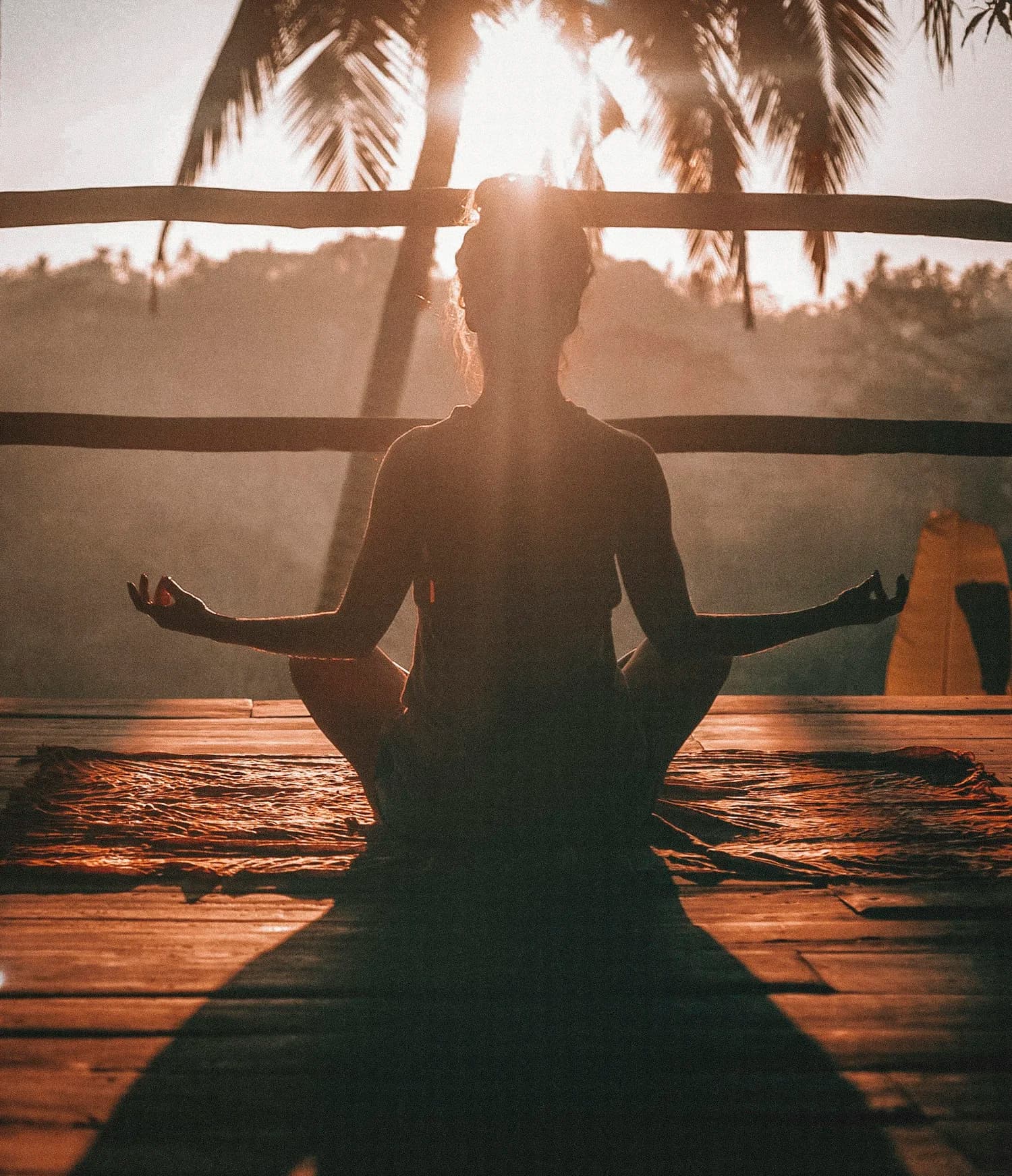 the yogi life