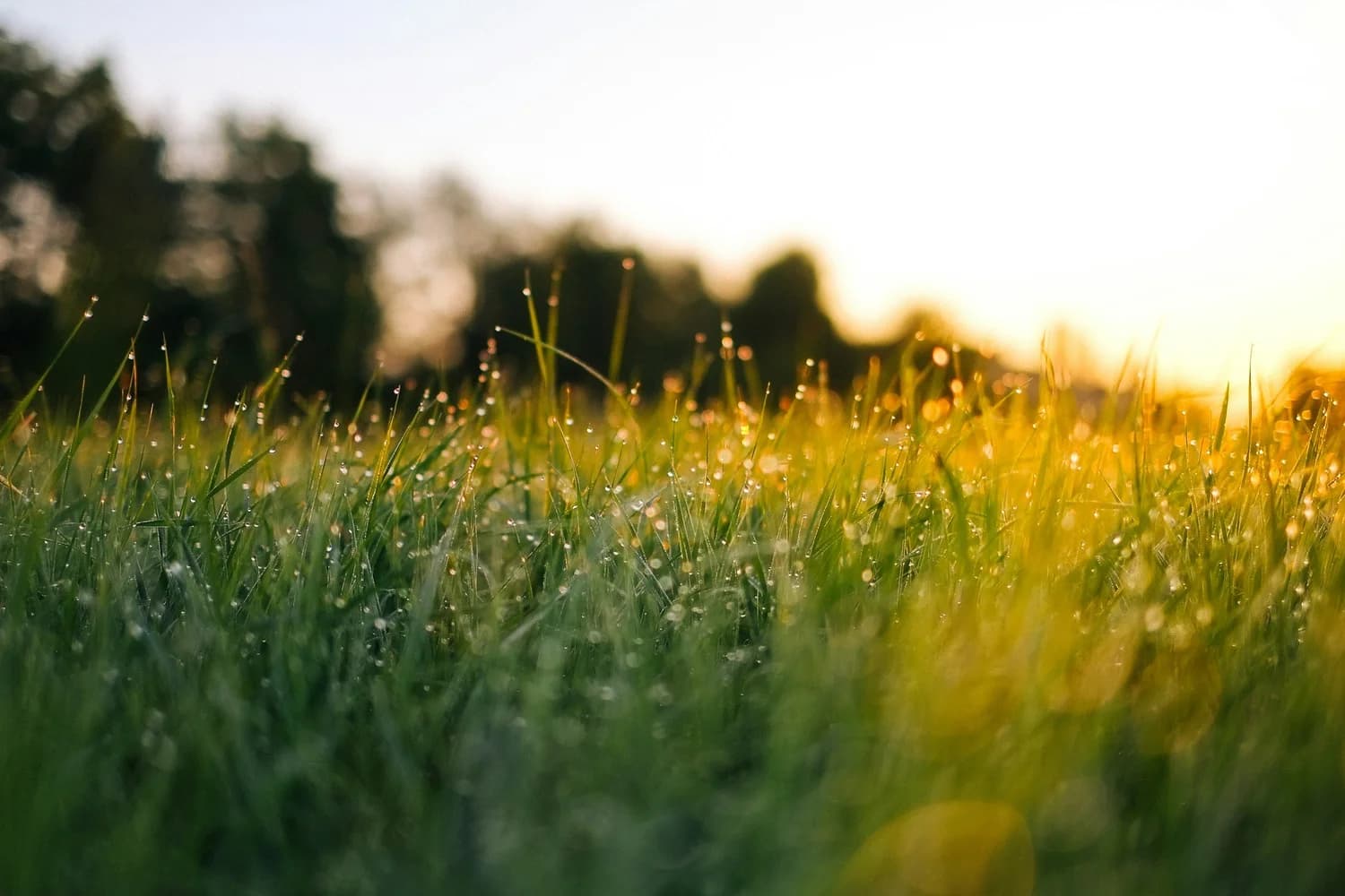 Christian Morning Routine - 5 Ways to Start Your Day with God