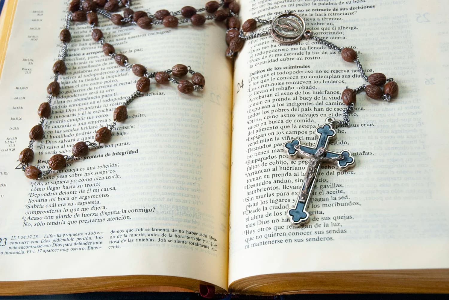 The Catholic Life
