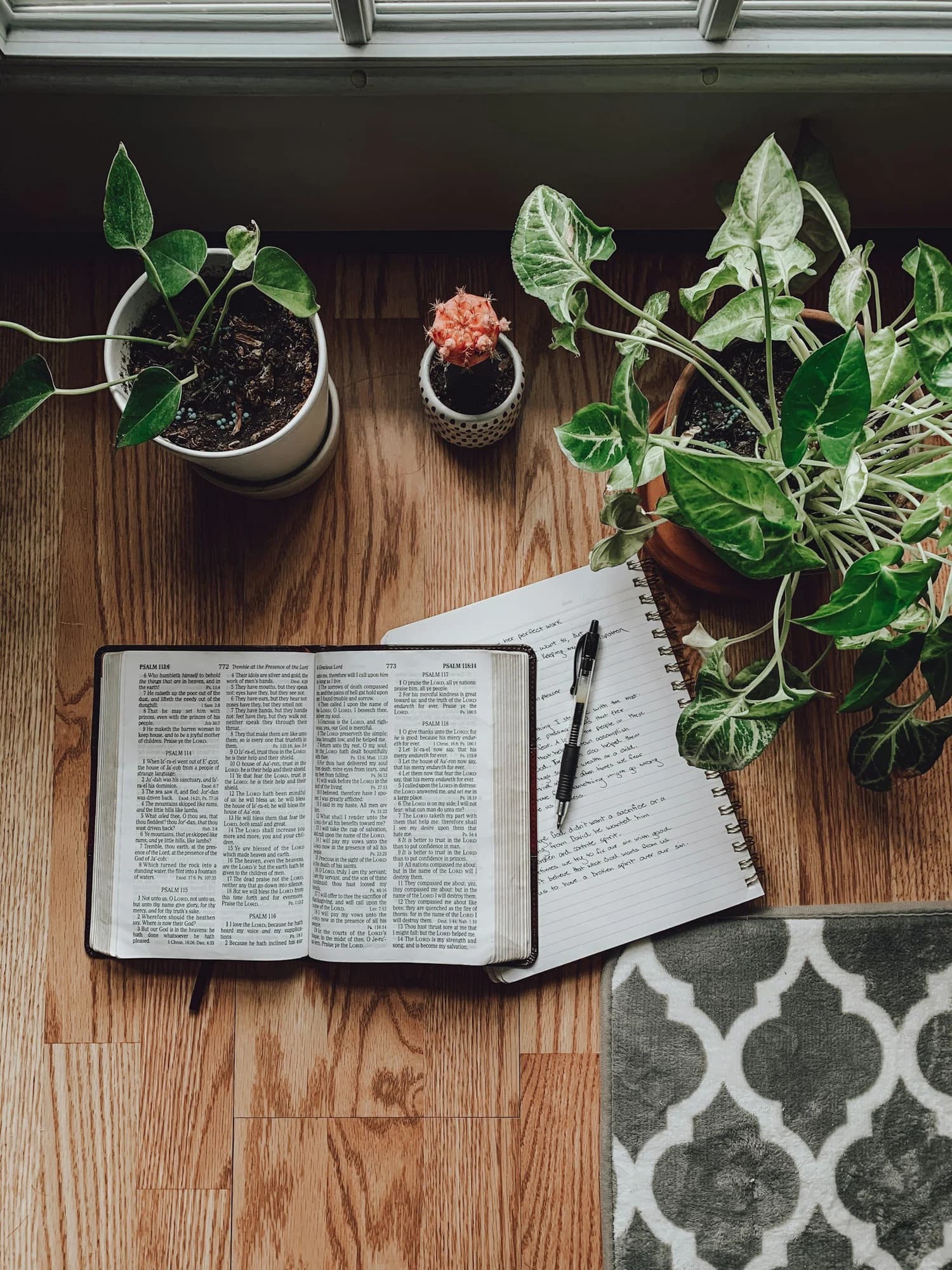 Wisdom for Everyday Life: The Book of Proverbs